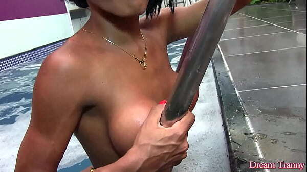 Black Tranny Adrielhy Bronze Shows Fine Assets