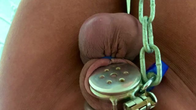 Mistress loves piggy castration band balls hurt them