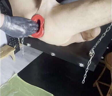 wird Toms Arsch Pighole geweitet