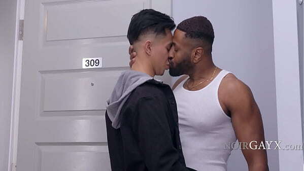 Pounds Latino Delivery