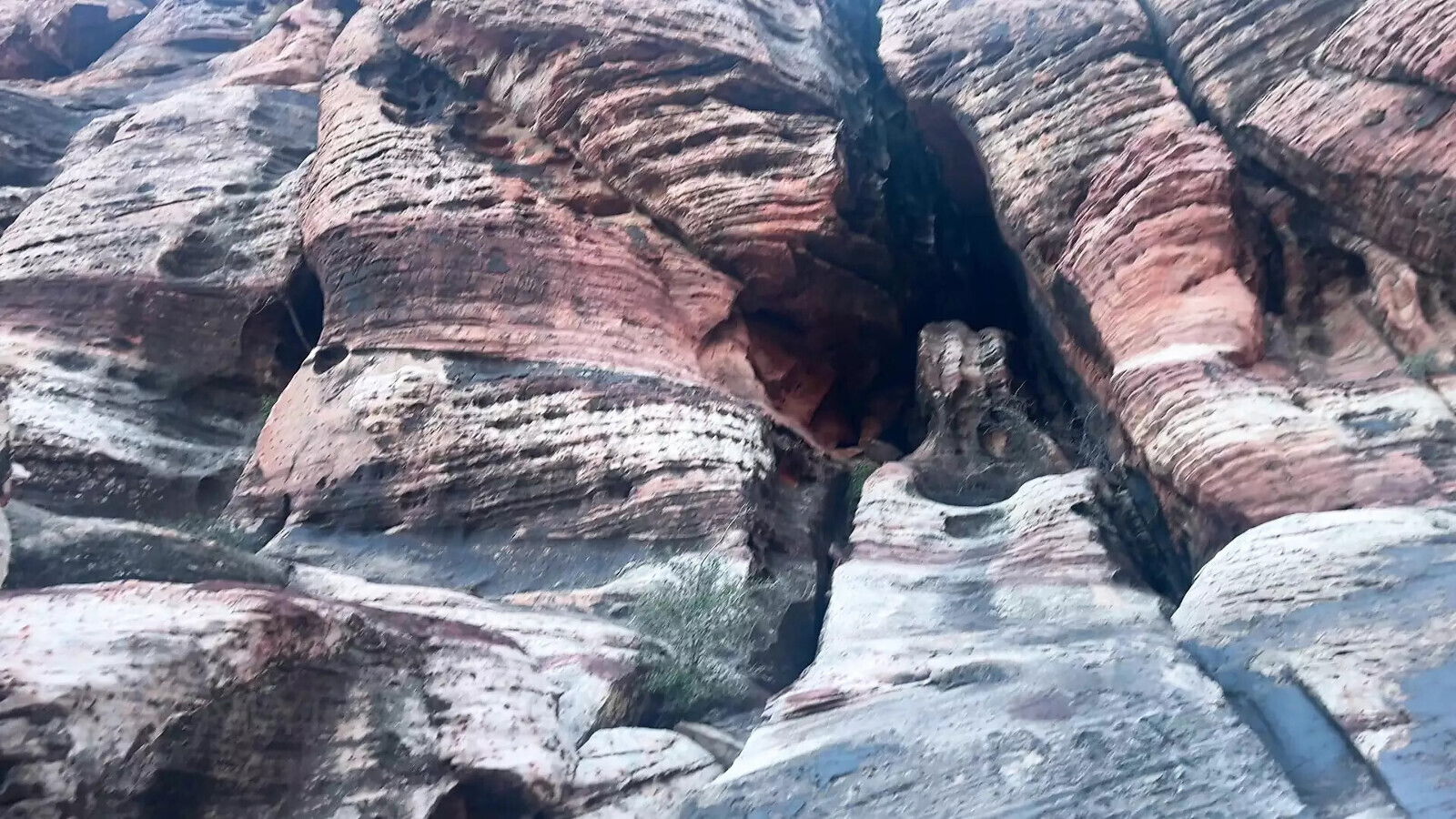 Hippy Sucks Outdoors Caprice Lune