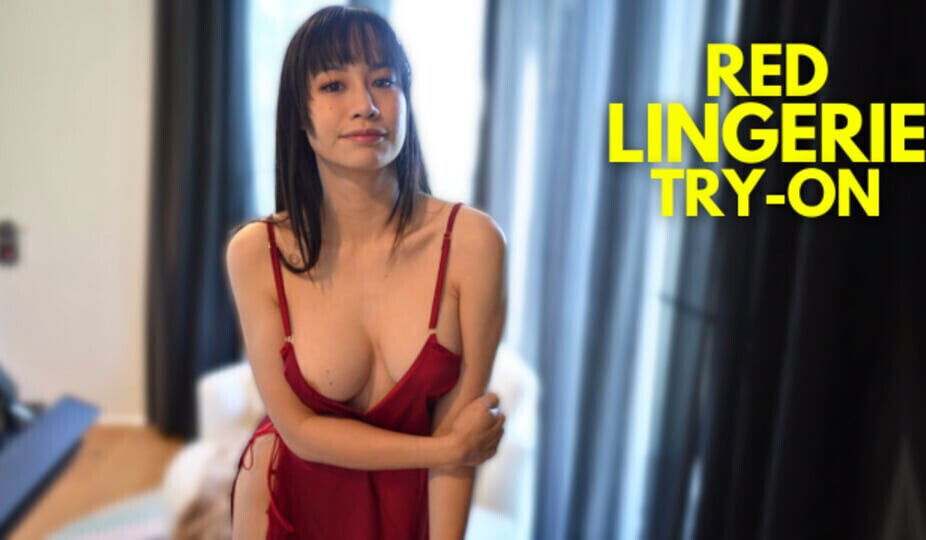 Transparent Dress Lingerie Haul with Elixir