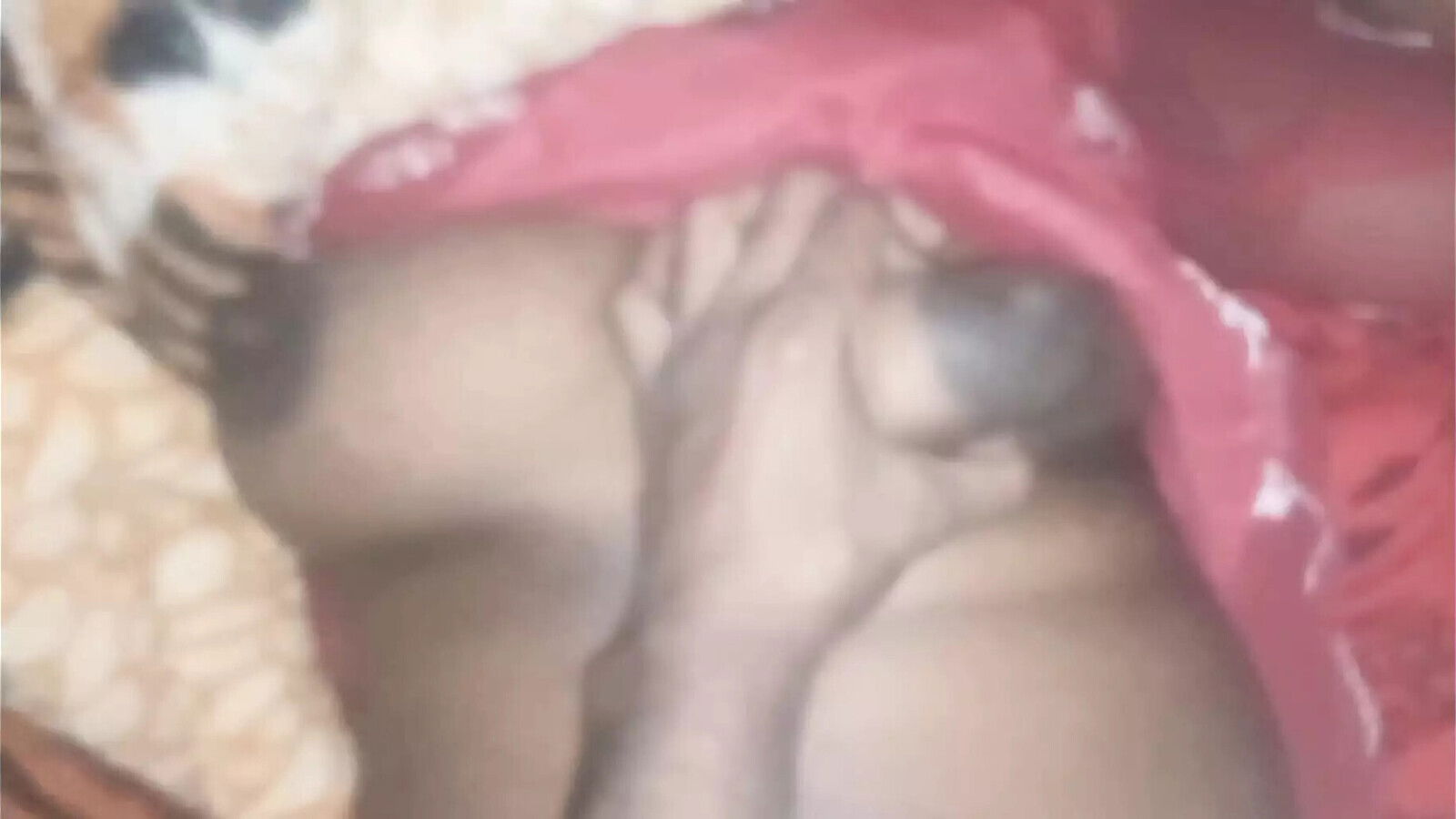 Meena fucked sister-in-law your Shona