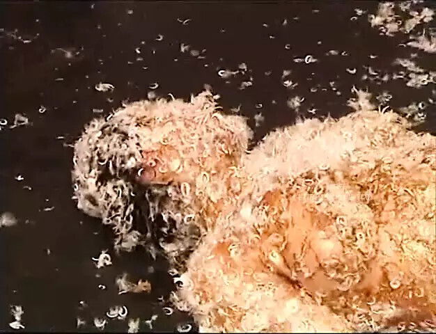 Powergames Compilation tied sluts being tormented