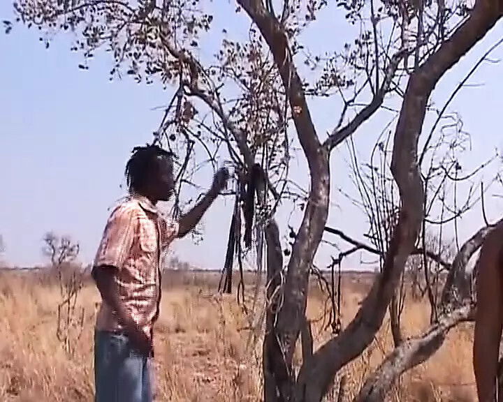 sexy black slut from Germany gets tied spanked hard outdoors