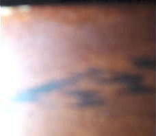 Playing with my ass and panties at home