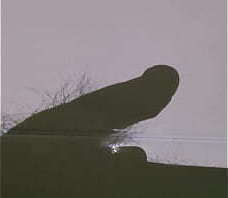 早晨勃起后在影子下自慰射精