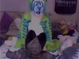 Azure coyote montando Balto wolf