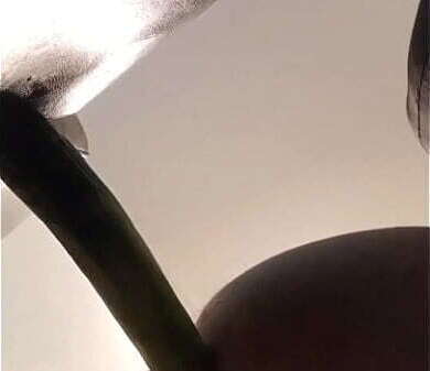 tranny pantyhose fuck solo