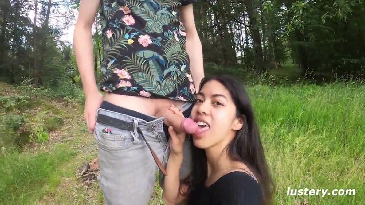 Submission #744: Playing Field Rose