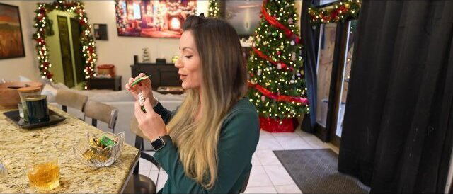 Spending Christmas Break With Horny Sister Part Trailer Vandi