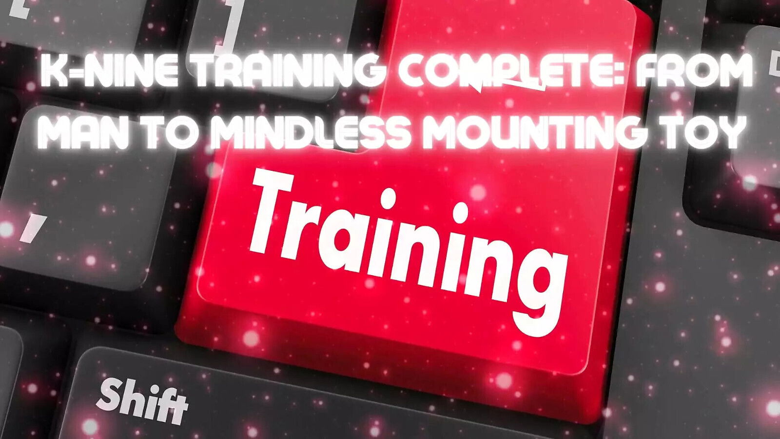 K-nine Training Complete: From Mindless Mounting