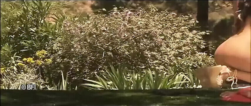 the best adult scenes.