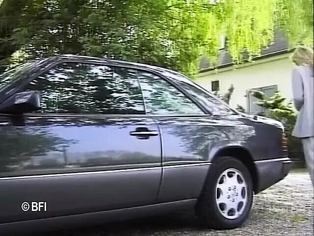 amateurs from Netherlands Belgium, part