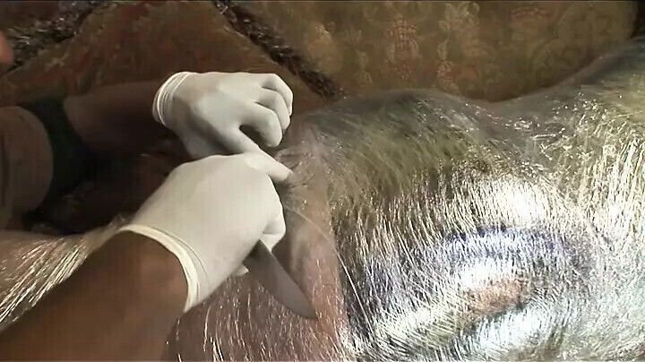 DYNAMIC BOOTY (Full Movie)