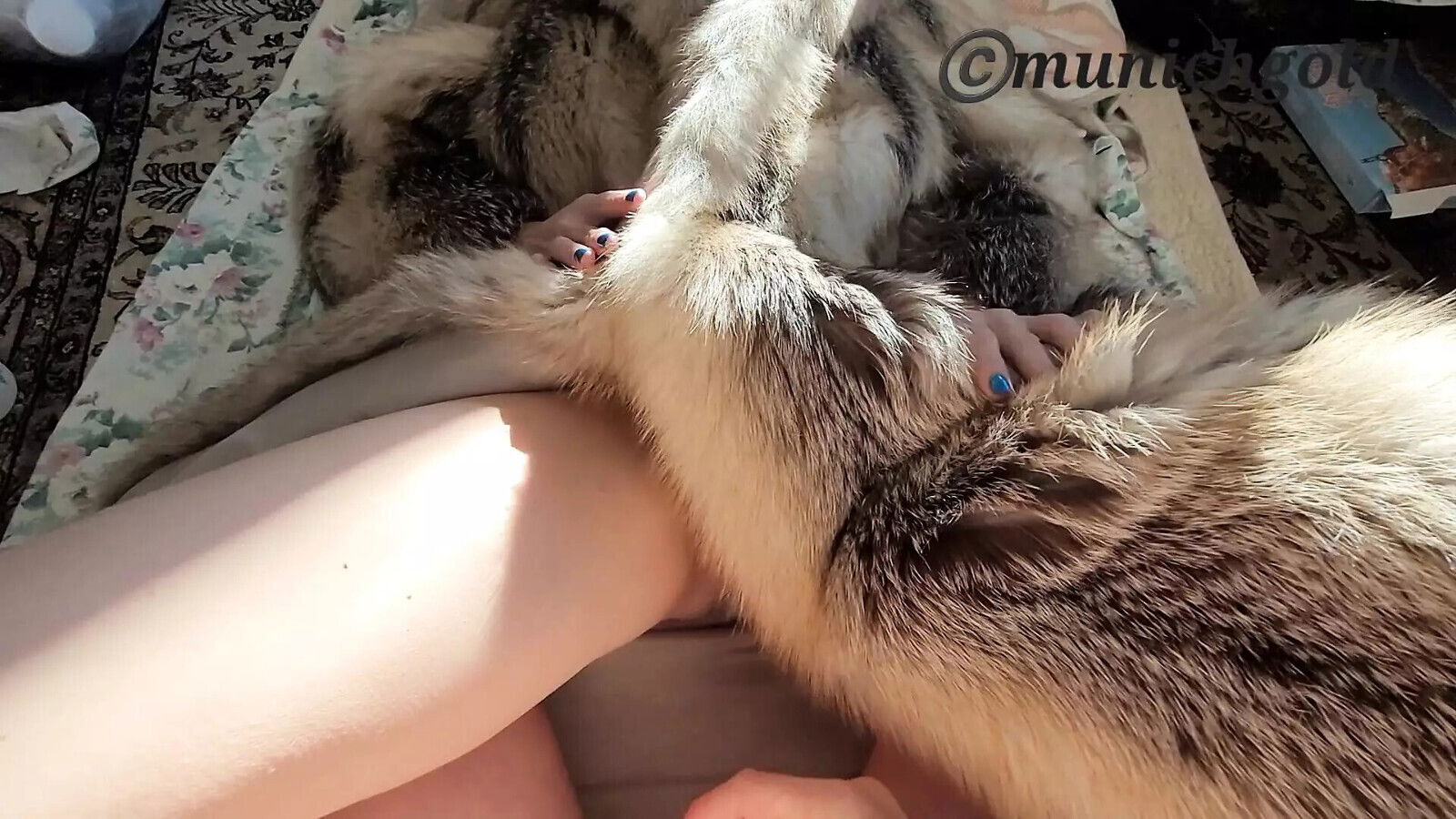 first fuck coat, hairy pussy