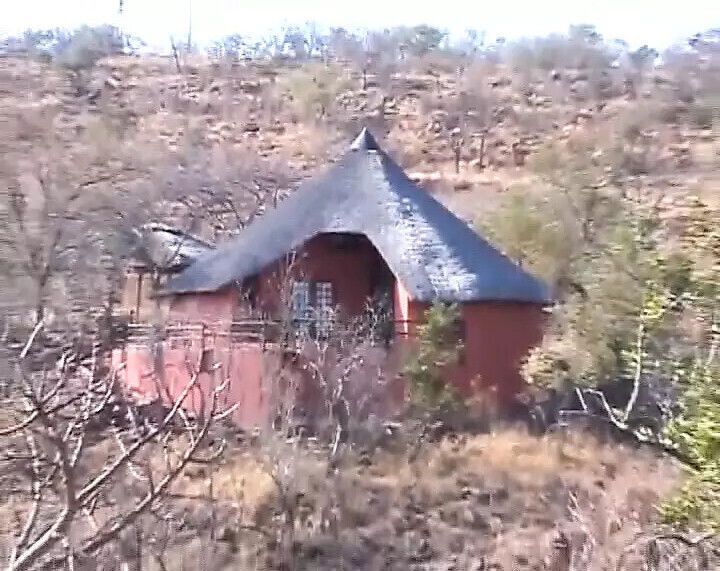 Slender ebony babes fucking black from Germany