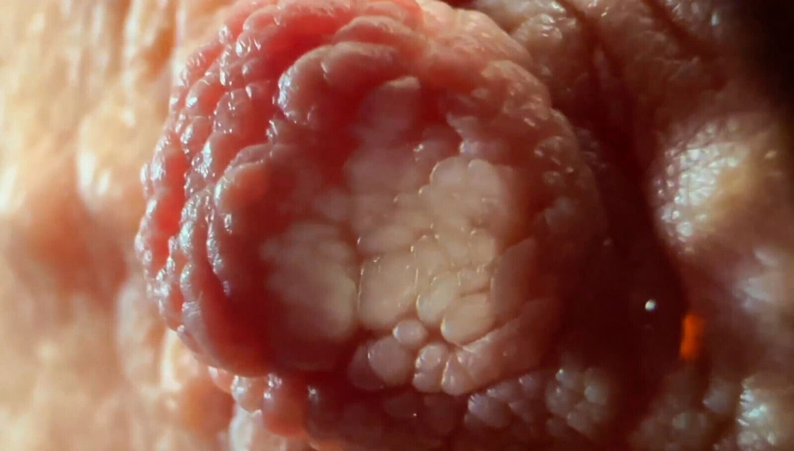 Extreme Close Nipples Play think never