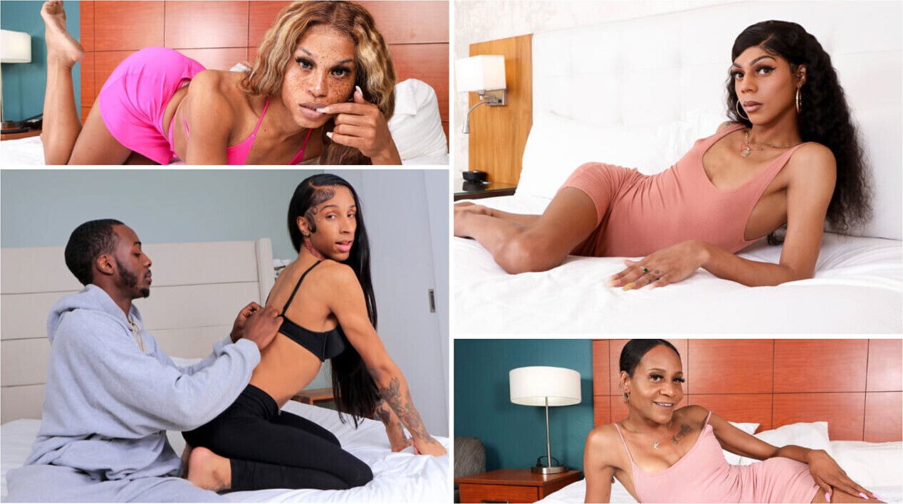 BLACK TGIRLS Compilation Updates 15th