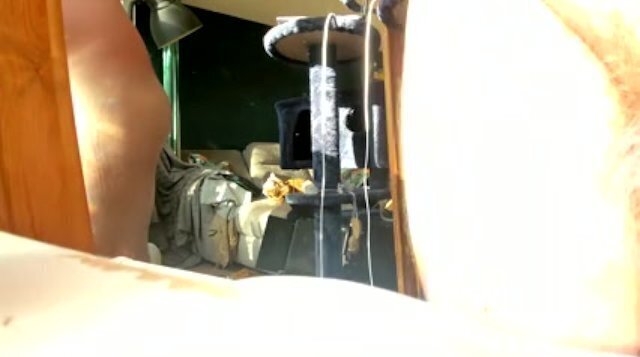 mini enjoying glorious