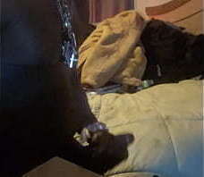 Gimme Intense Wet Hand