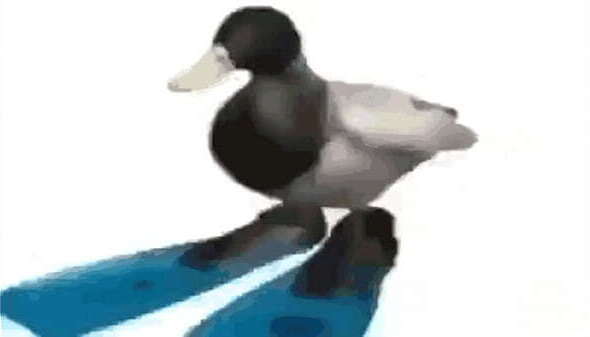 Diamantes TripleZeta SanCelestial asdfsafafsasaffsafffffff