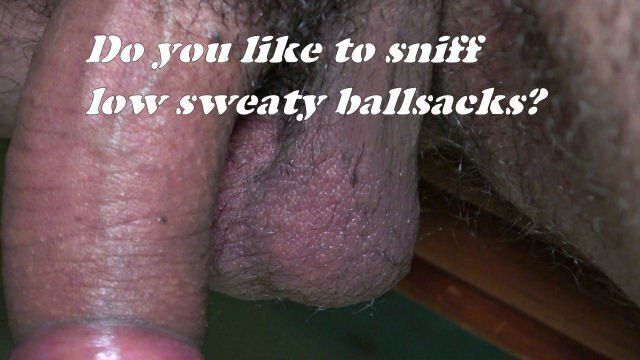 Sweaty Summertime Balls