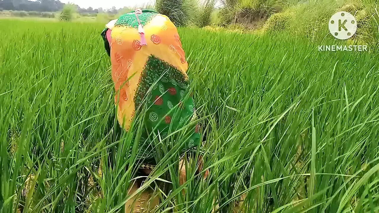 Indian Girls Desi Lover made Fuck Hinde Audio