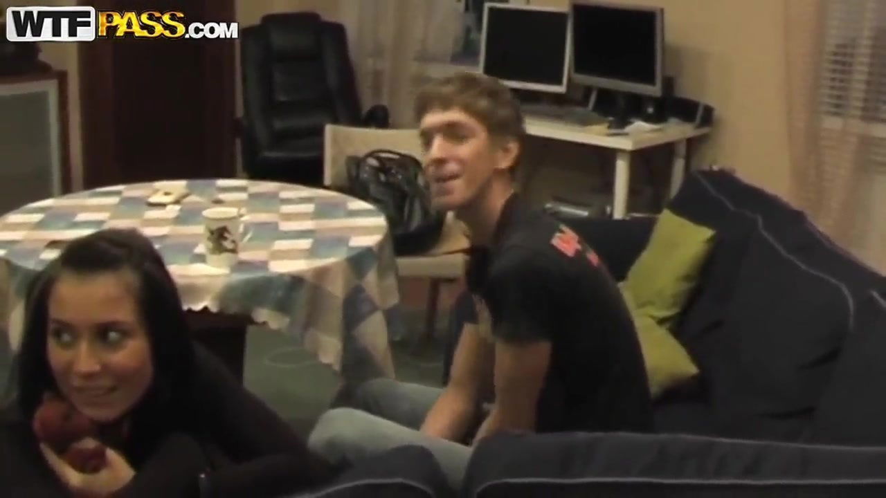 Cats loves parties more than anything