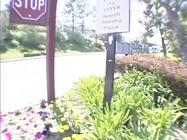 La superbe star du porno Vanessa Lynn dans une incroyable université, scène xxx