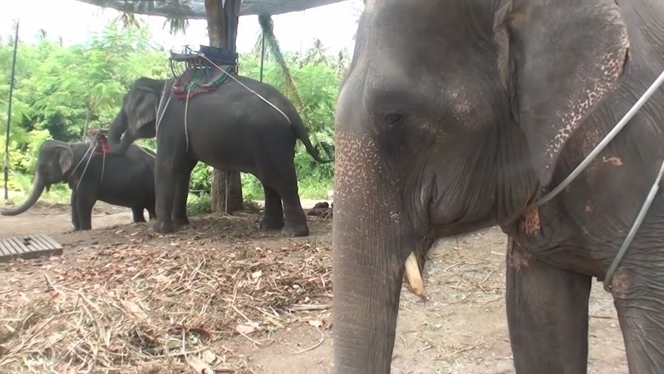 Bella Margo slut masturbates vacation porn video