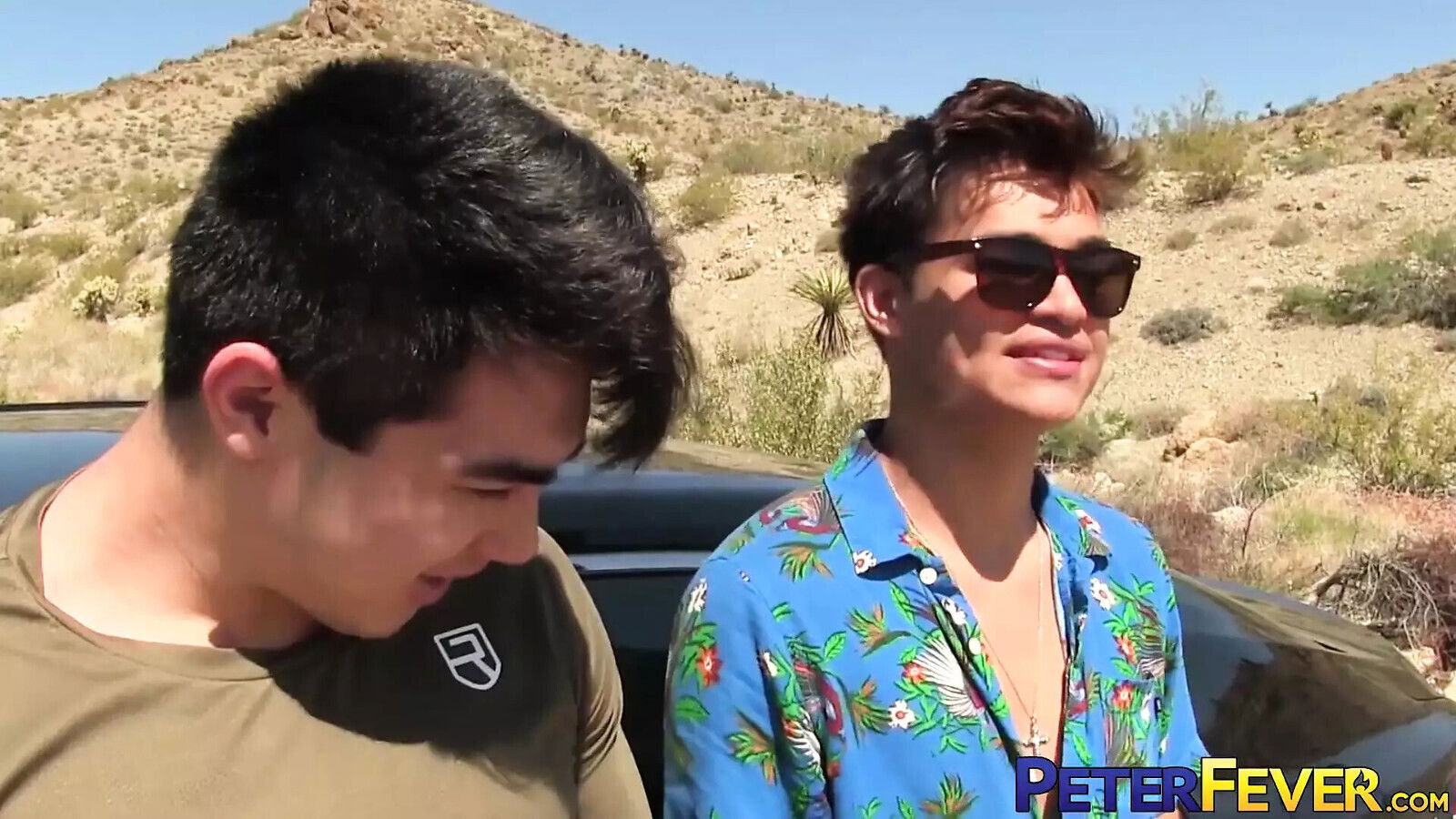 Peterfever Desert Modern Hot, Cool Baked