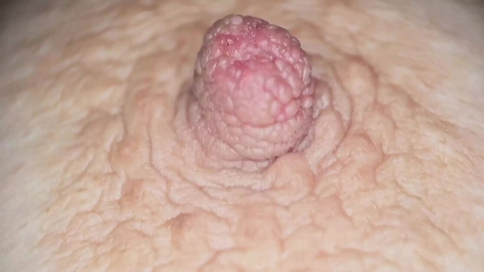 Like Bouncing Natural Boobs this Like Hard Nipples