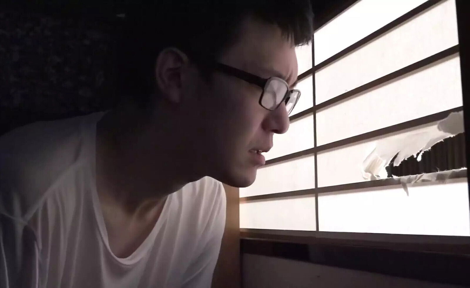 Still Active! Grandma Would Descendants Vol.