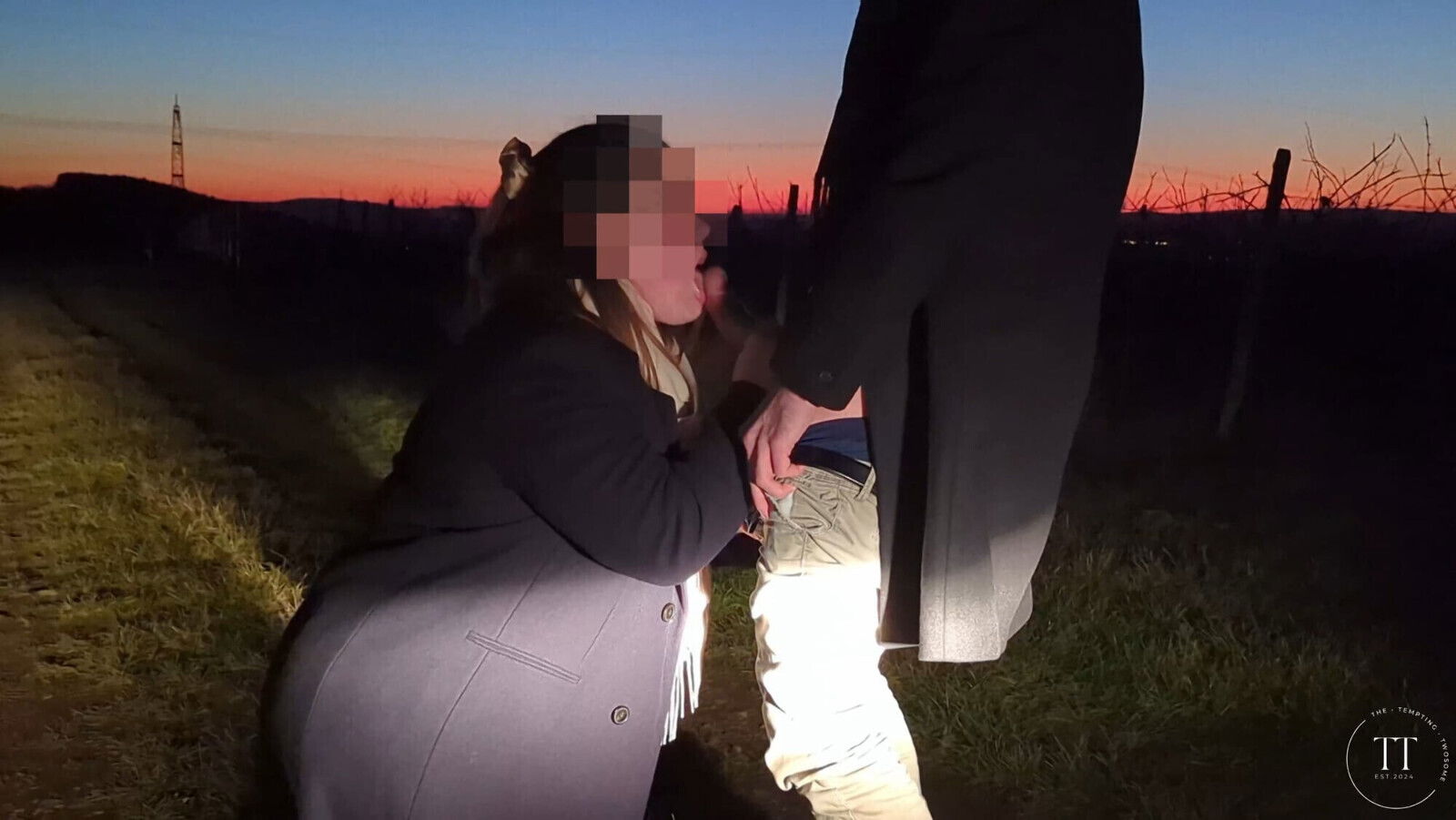 Blown sunset vineyard.