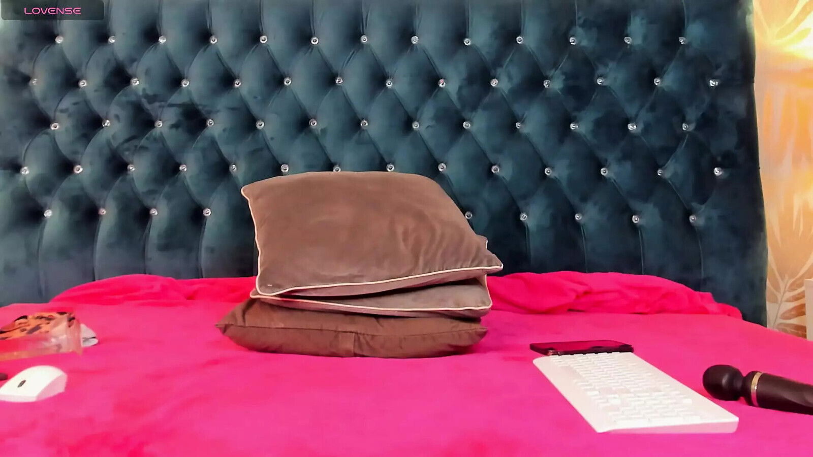 promise stepsister will never find