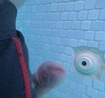 Pool Jet Frenulum Massage ORGASM 2 - (Dry Cum)