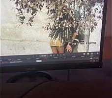 Besitos pene publica