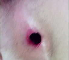 Teen Asshole Play with two fingers