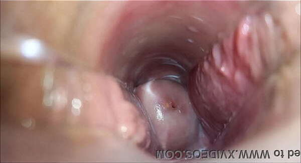 orgasmo vaginal
