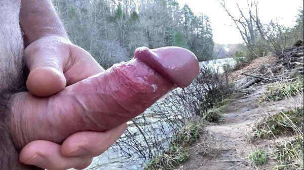 Clitlicker662 update 1278