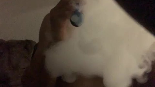 Cloudy showing dick viewer request