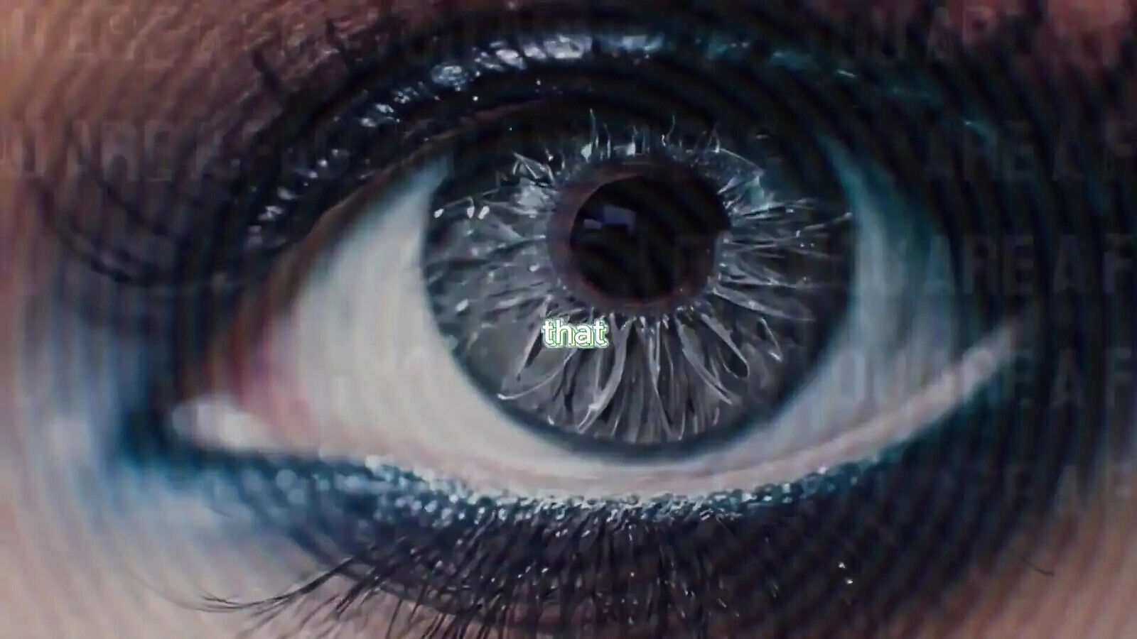 Toolbox: Dump Real Fags Reality Check