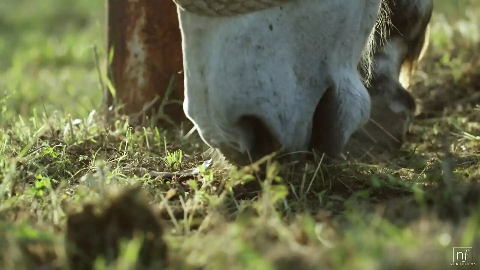 August Fantasy Month S2:e6