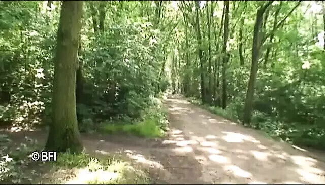 dirty picnic with granny.