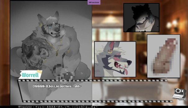 furry NSFW novelgame [bang×bang] Play video translated into Japanese [part1]