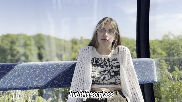 WANTED SUCK FERRIS WHEEL, FUCKED FACE