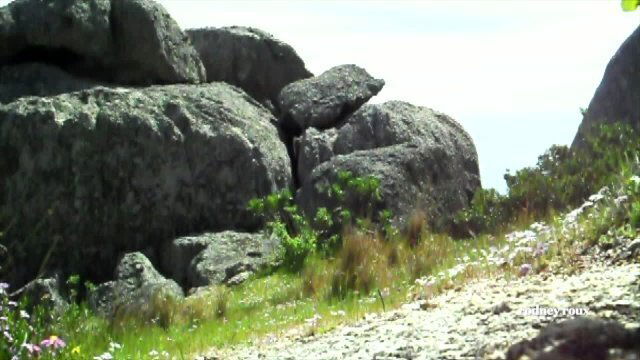 A Secluded Encounter on the Mountain with Rodney Roux (Scene 5)