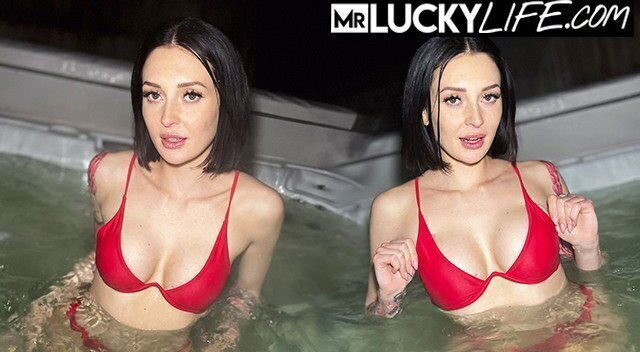 Snowbird Charlotte Cruising Cold Alps