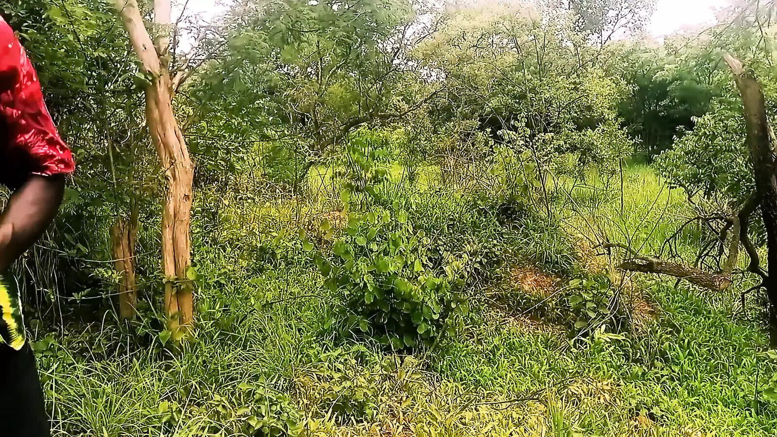 Romantic Body-building